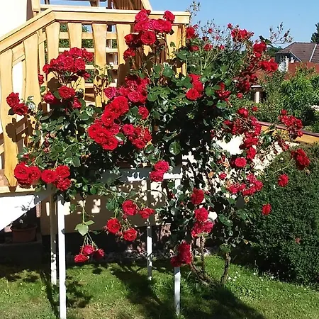 Veronika Apartman Zalakaros